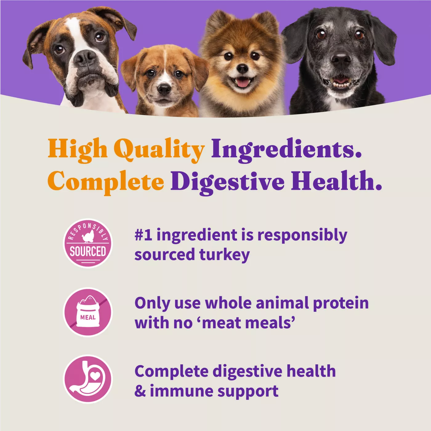 Halo Holistic Grain Free Dry Dog Food Cage free Turkey Sweet Potato Organic