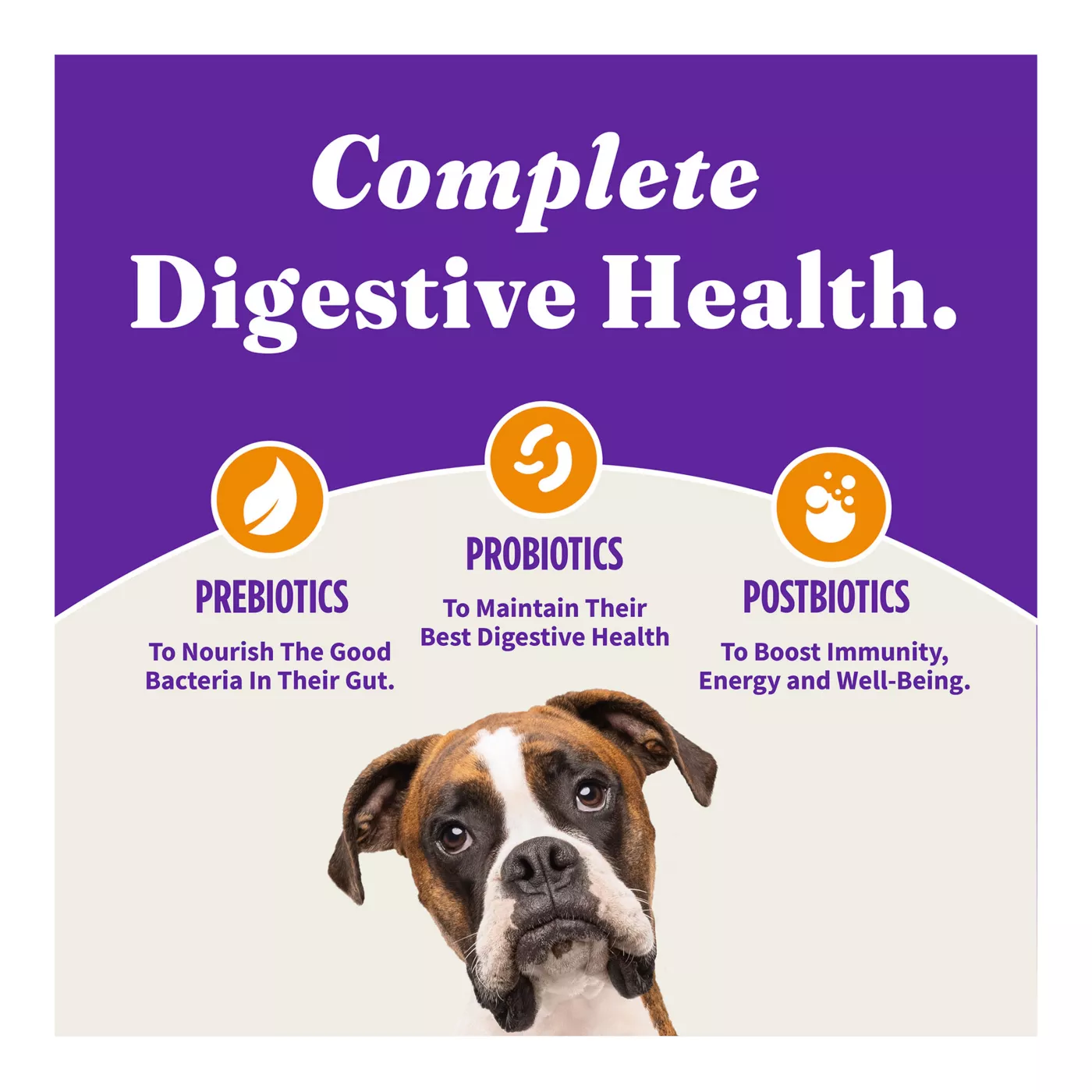 Halo Holistic Dry Dog Food Cage free Chicken Sweet Potato Grain Free