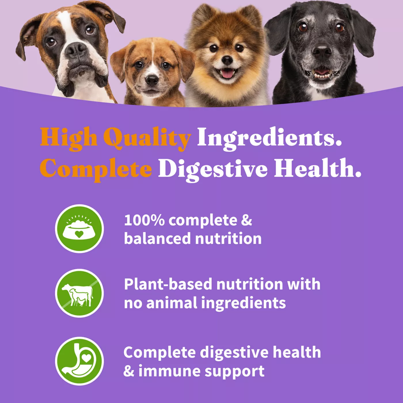 Halo Holistic Vegan Plant Based with Superfoods Dry Dog Food Digestive Care