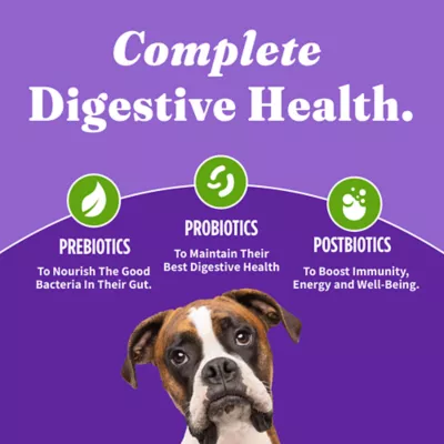 Product Halo Holistic Vegan Plant-Based with Superfoods Dry Dog Food - Digestive Care