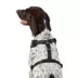 Top Paw® Camo Dog Harness image thumbnail 2