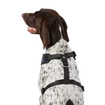 Product Top Paw® Camo Dog Harness