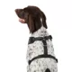 Product Top Paw® Camo Dog Harness