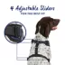 Top Paw® Camo Dog Harness image thumbnail 4