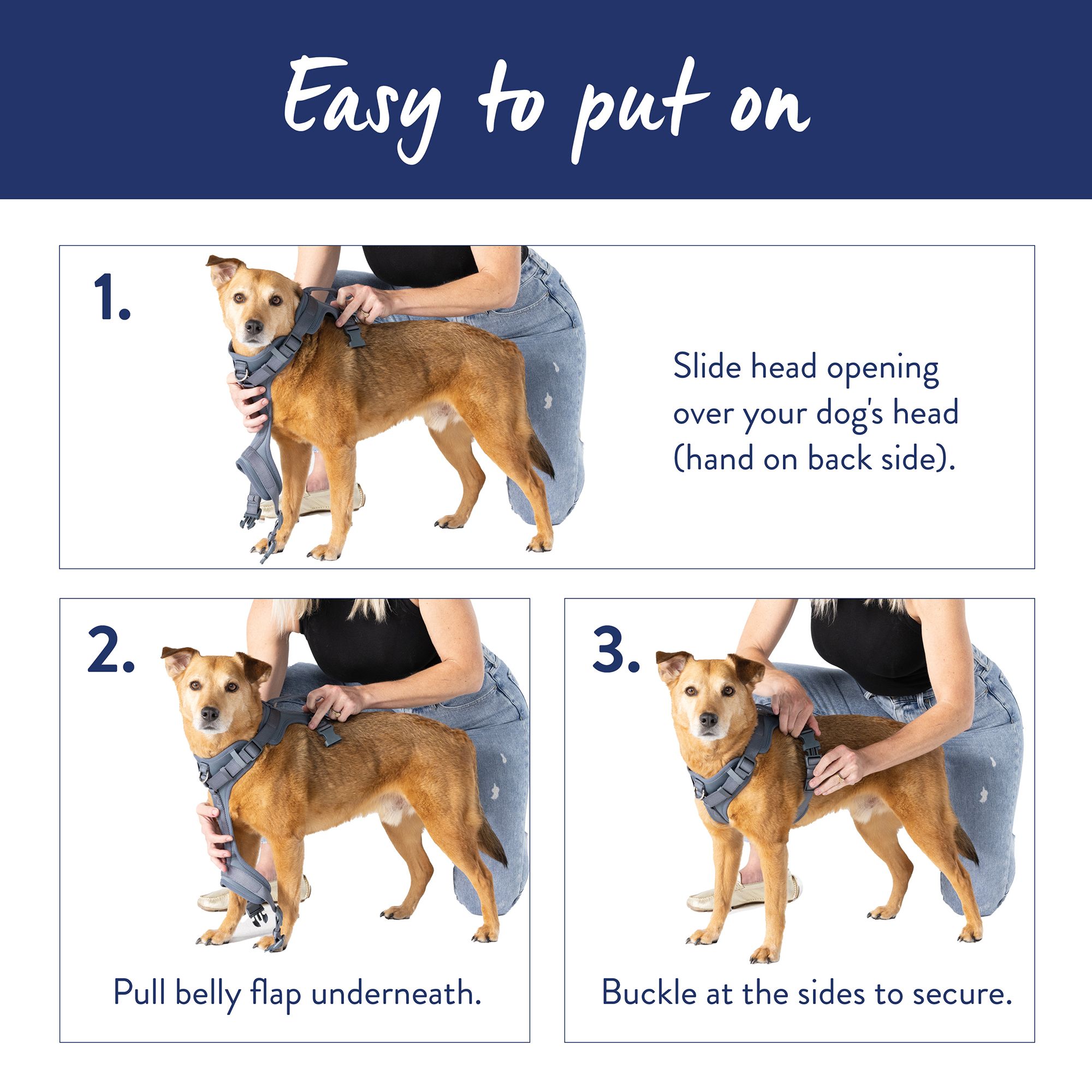 How to put on a dog harness diagram hotsell