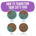 Weruva B.F.F. OMG Gravy! For Land & Sea Lovers Wet Cat Food - Minced in Gravy, 5.5 OZ image thumbnail 5