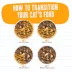 Weruva BFF Wet Cat Food - Grain Free, Minced in Gelee, 5.5 oz image thumbnail 5