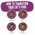 Weruva BFF Wet Cat Food - Grain Free, Minced in Gelee, 5.5 oz image thumbnail 5