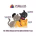 Weruva BFF Wet Cat Food - Grain Free, Minced in Gelee, 5.5 oz image thumbnail 7