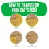 Weruva B.F.F. PLAY Pate! For Chicken Lovers Wet Cat Food - Pate in a Hydrating Puree, 2.8 OZ image thumbnail 5