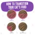 Weruva B.F.F. PLAY Pate! For Tuna Lovers Wet Cat Food - Pate in a Hydrating Puree, 2.8 OZ image thumbnail 5