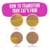 Weruva BFF OMG Wet Cat Food - Grain Free, Minced in Gravy, 2.8 oz image thumbnail 4