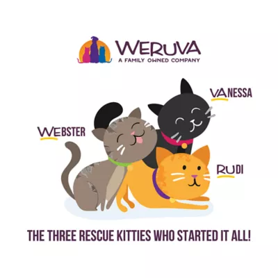 Product Weruva B.F.F. OMG Gravy! For Chicken Lovers Wet Cat Food - Minced in Gravy, 2.8 OZ Can