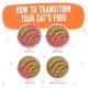 Product B.F.F. PLAY Pate! For Tuna Lovers Wet Cat Food - 3 oz, Pate in a Hydrating Puree