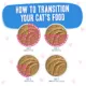 Product Weruva B.F.F. PLAY Pate! For Tuna Lovers Wet Cat Food - Pate in a Hydrating Puree, 3 OZ