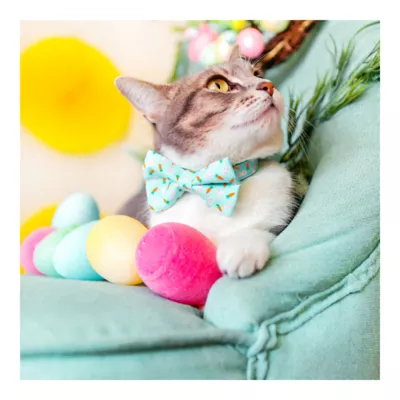 Product Made By Cleo® Easter Bunnies & Carrots Cat Bow Tie