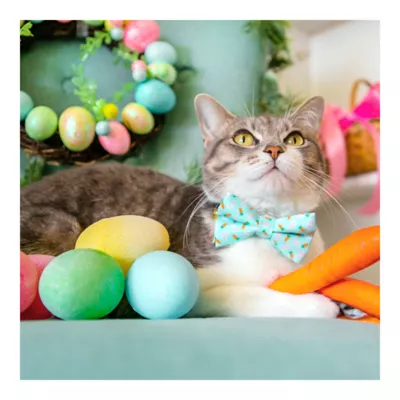 Product Made By Cleo® Easter Bunnies & Carrots Cat Bow Tie