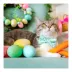 Made By Cleo® Easter Bunnies & Carrots Cat Bow Tie image thumbnail 4