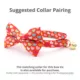 Product Made By Cleo® Valentine's Day Modern Love Cat Bow Tie