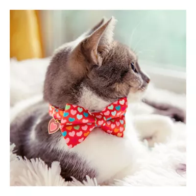 Product Made By Cleo® Valentine's Day Modern Love Cat Bow Tie