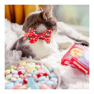 Product Made By Cleo® Valentine's Day Modern Love Cat Bow Tie