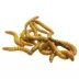 Live Regular Mealworms image thumbnail 1