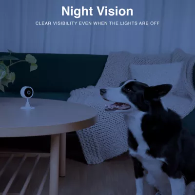 Product Instachew Purrsight Mini HD Pet Camera