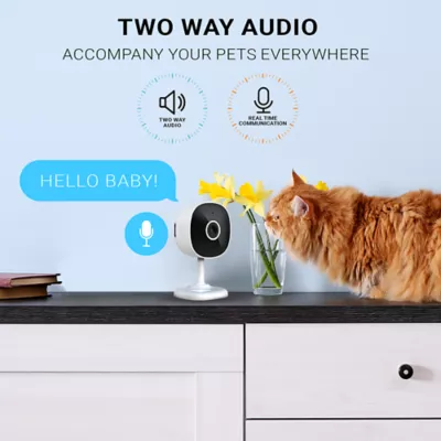 Product Instachew Purrsight Mini HD Pet Camera