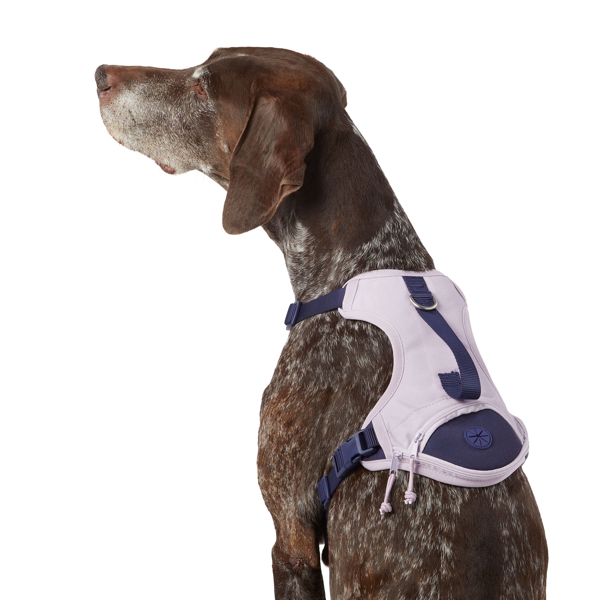 Top paw adjustable outlet harness