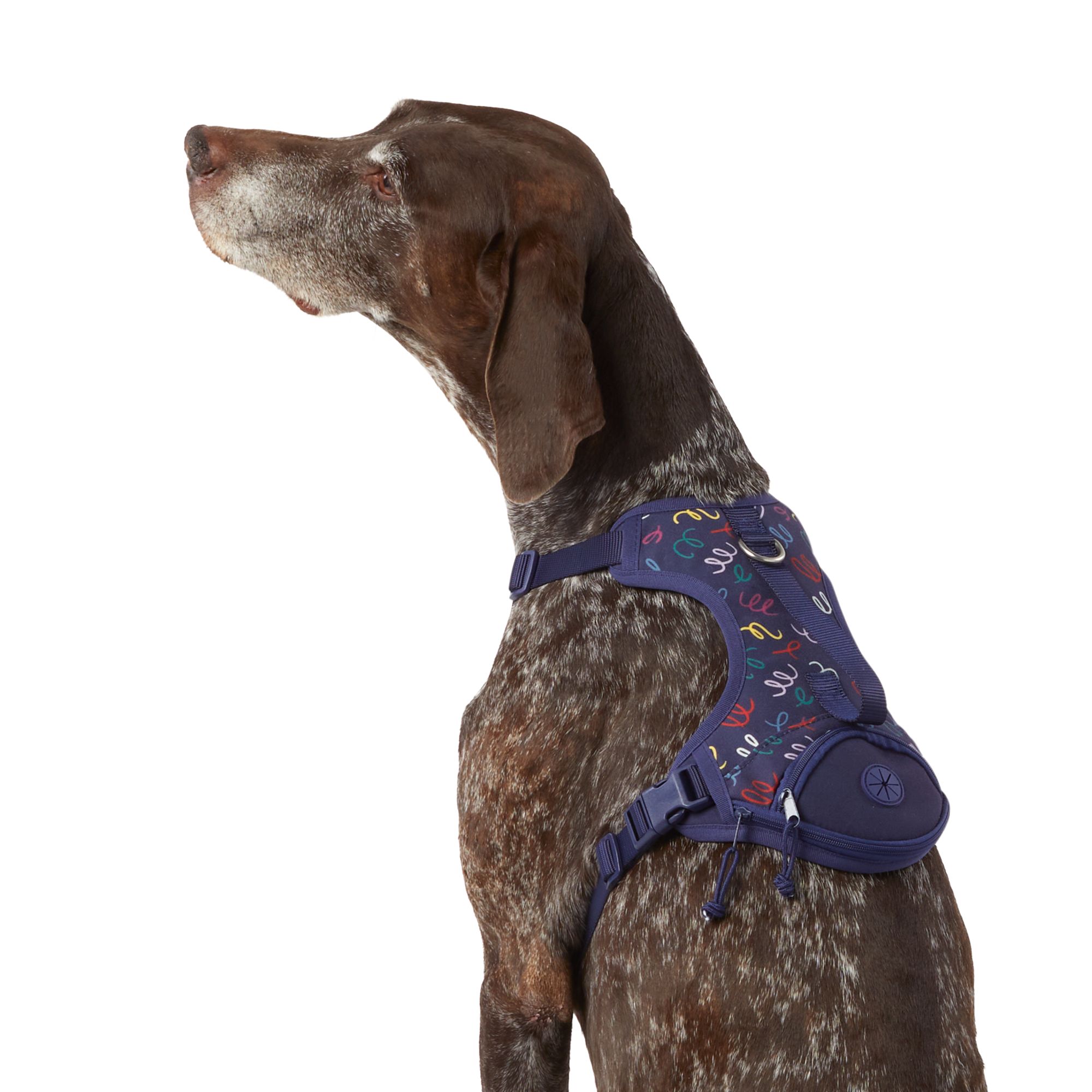 Jump restraint clearance dog harness petsmart