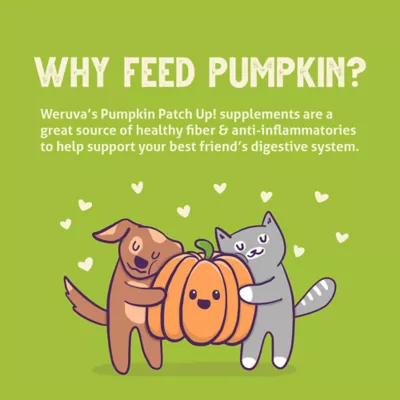 Product Pumpkin Patch Up! Supplement for Cats and Dogs - 2.8 oz, Pureed Pumpkin
