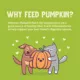 Product Pumpkin Patch Up! Supplement for Cats and Dogs - 1.05 oz, Pureed Pumpkin