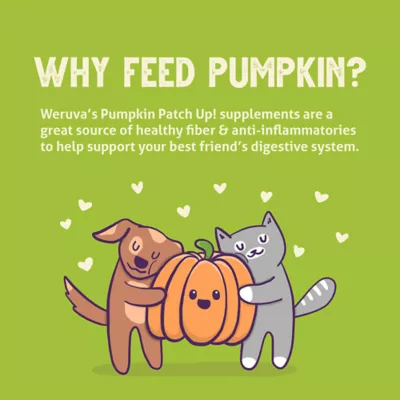 Product Weruva Pumpkin Patch Up! Supplement for Cats and Dogs - Digestive Support, Variety Pack, 12 CT