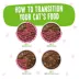 Weruva BFF OMG Wet Cat Food - Grain Free, Minced in Gravy, 3 oz image thumbnail 5