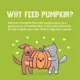 Product Weruva Pumpkin Patch Up! Supplement for Cats and Dogs - Digestive Support, Pureed Pumpkin, 2.8 OZ