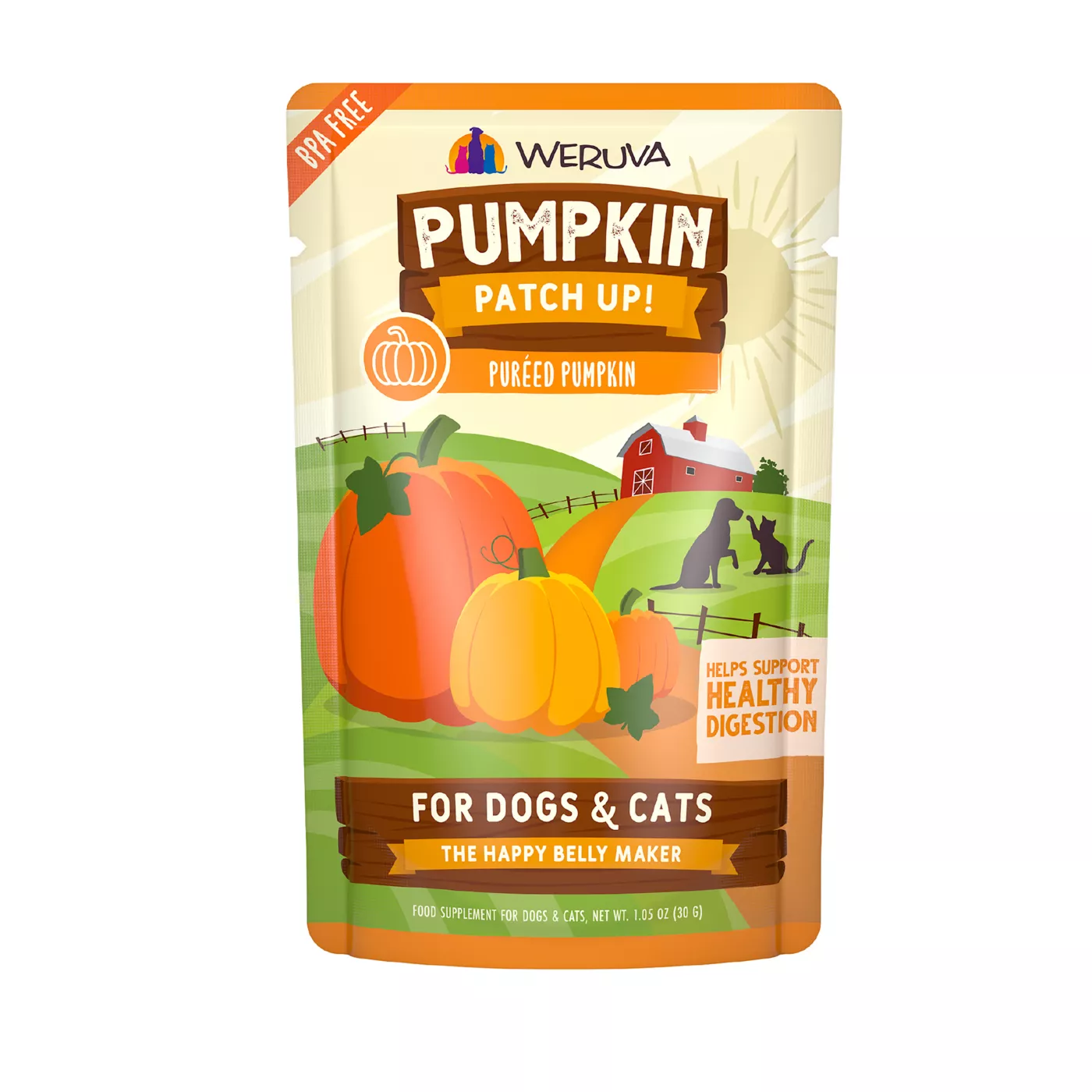 100 percent fashion pumpkin for dogs