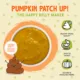 Product Pumpkin Patch Up! Supplement for Cats and Dogs - 1.05 oz, Pureed Pumpkin