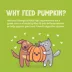 Weruva Pumpkin Patch Up! Supplement for Cats and Dogs - Digestive Support, Pureed Pumpkin, 1.05 OZ image thumbnail 5