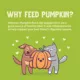 Product Pumpkin Patch Up! Supplement for Cats and Dogs - 1.05 oz, Pureed Pumpkin