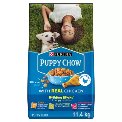 Product Purina Puppy Chow with Real Chicken Dry Dog Food