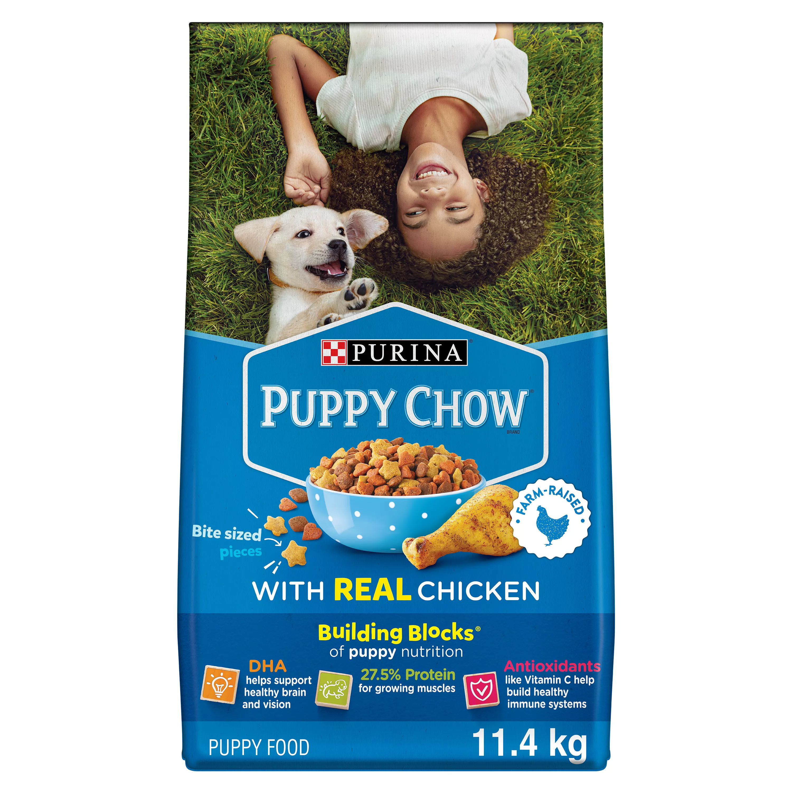 Purina Puppy Chow with Real Chicken Dry Dog Food