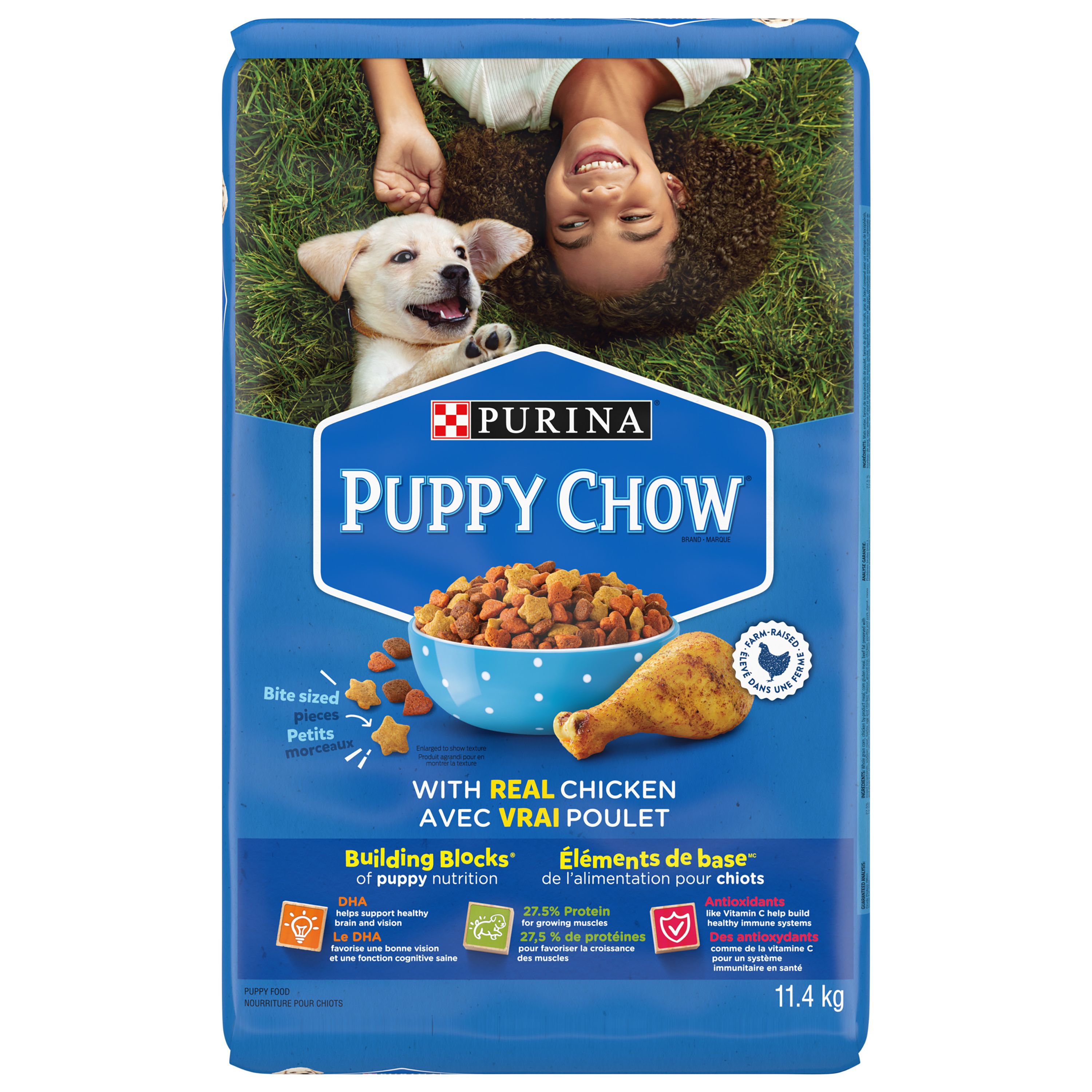 Purina puppy chow large breed hotsell