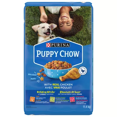 Product Purina Puppy Chow with Real Chicken Dry Dog Food