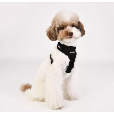 Puppia® Soft Superior "A" Dog Harness - Image 3
