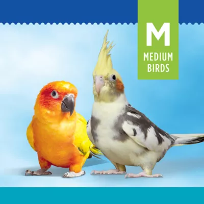 Product All Living Things® Palm Leaf Starfruit Bird Toy