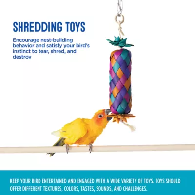 Product All Living Things® Palm Leaf Starfruit Bird Toy