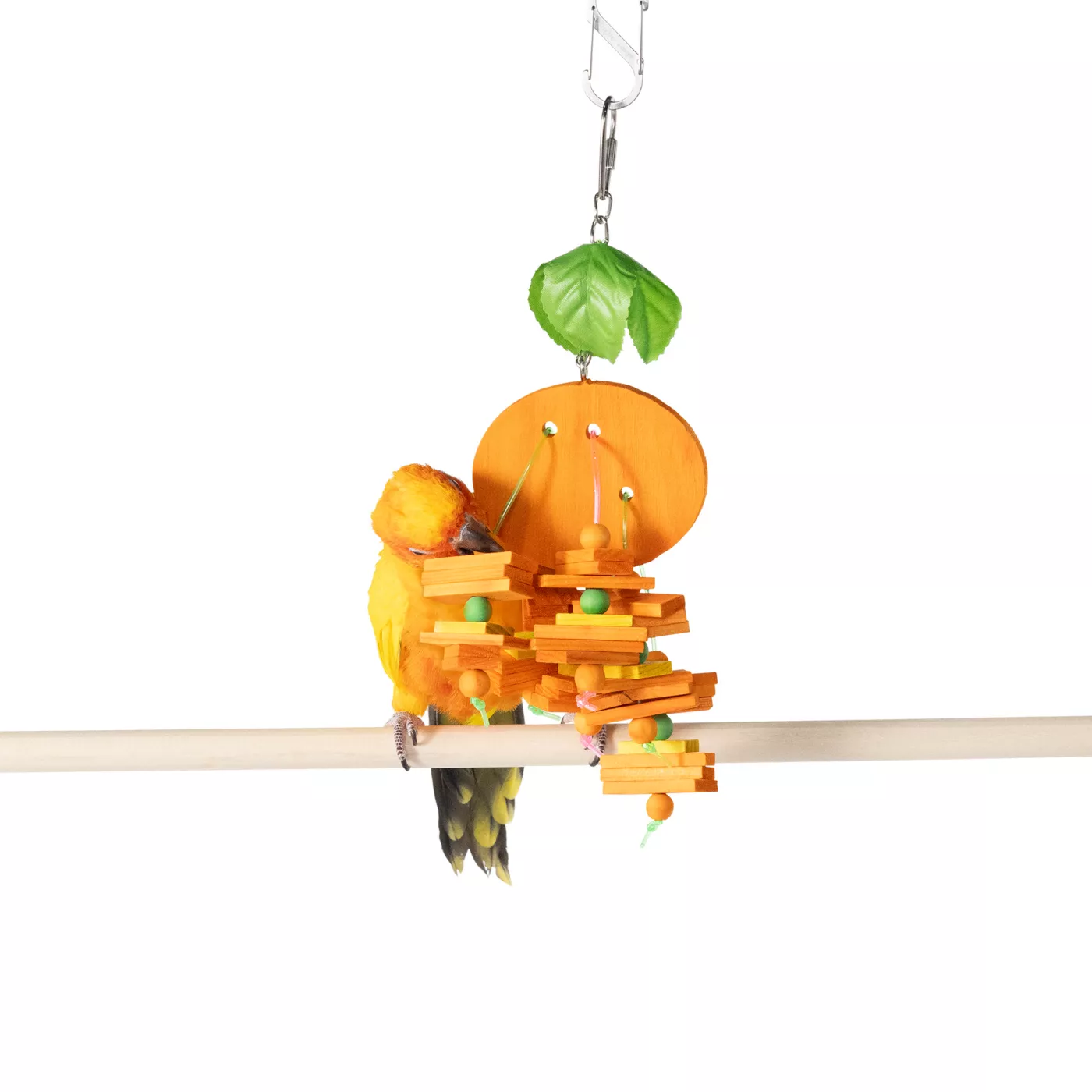 Product All Living Things® Fruit Orange Bird Toy