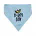 Hip Doggie Birthday Boy Reversible Scrunchy Dog Bandana image thumbnail 1