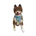 Hip Doggie Birthday Boy Reversible Scrunchy Dog Bandana image thumbnail 4