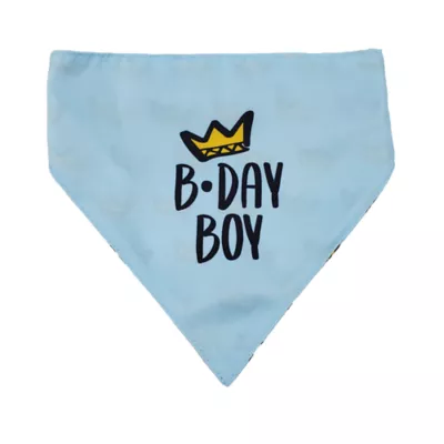 Product Hip Doggie Birthday Boy Reversible Scrunchy Dog Bandana